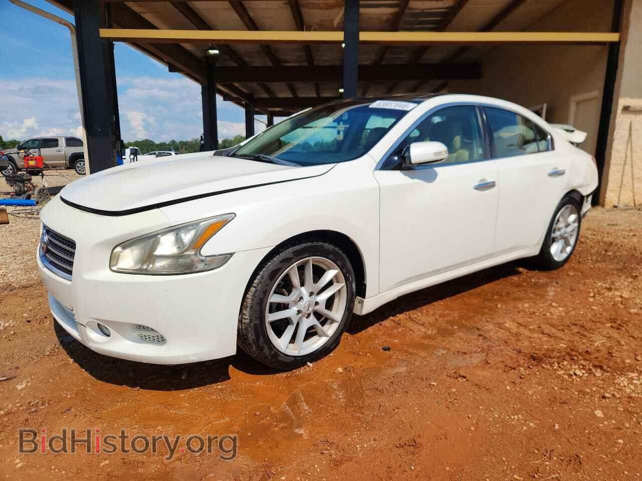 Photo 1N4AA5AP7BC854663 - NISSAN MAXIMA 2011