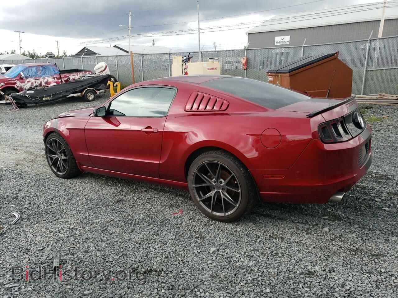 2014 FORD ALL Models - VIN: 1ZVBP8AM1E5220632 - Фото 2