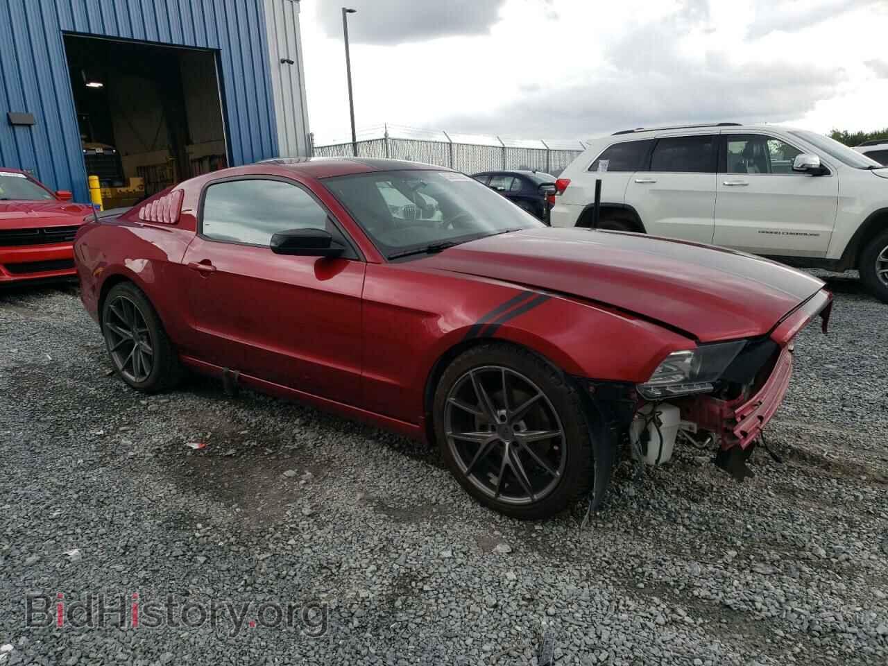 2014 FORD ALL Models - VIN: 1ZVBP8AM1E5220632 - Фото 4