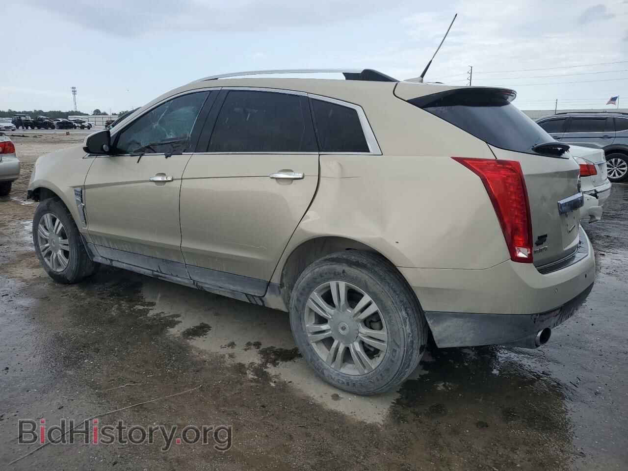 2011 CADILLAC SRX - VIN: 3GYFNAEY2BS552458 - Фото 2