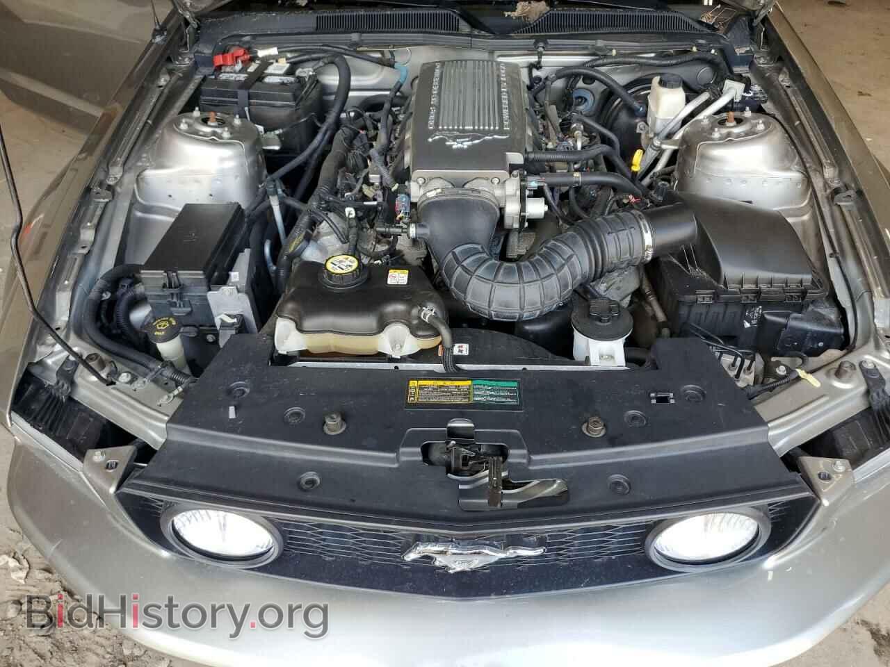 2009 FORD MUSTANG - VIN: 1ZVHT85H095126959 - Фото 11