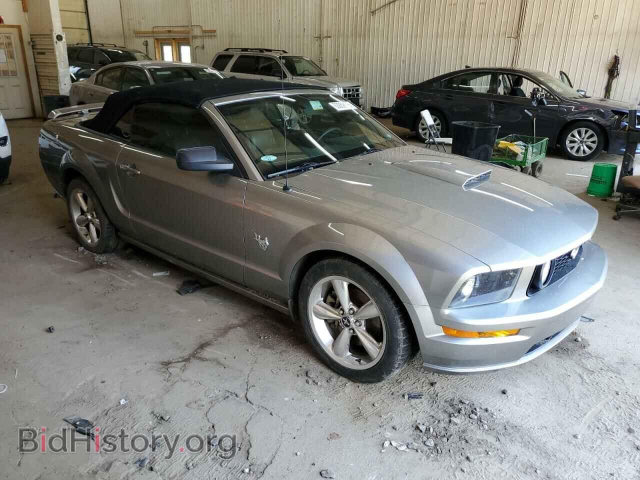 2009 FORD MUSTANG - VIN: 1ZVHT85H095126959 - Фото 4