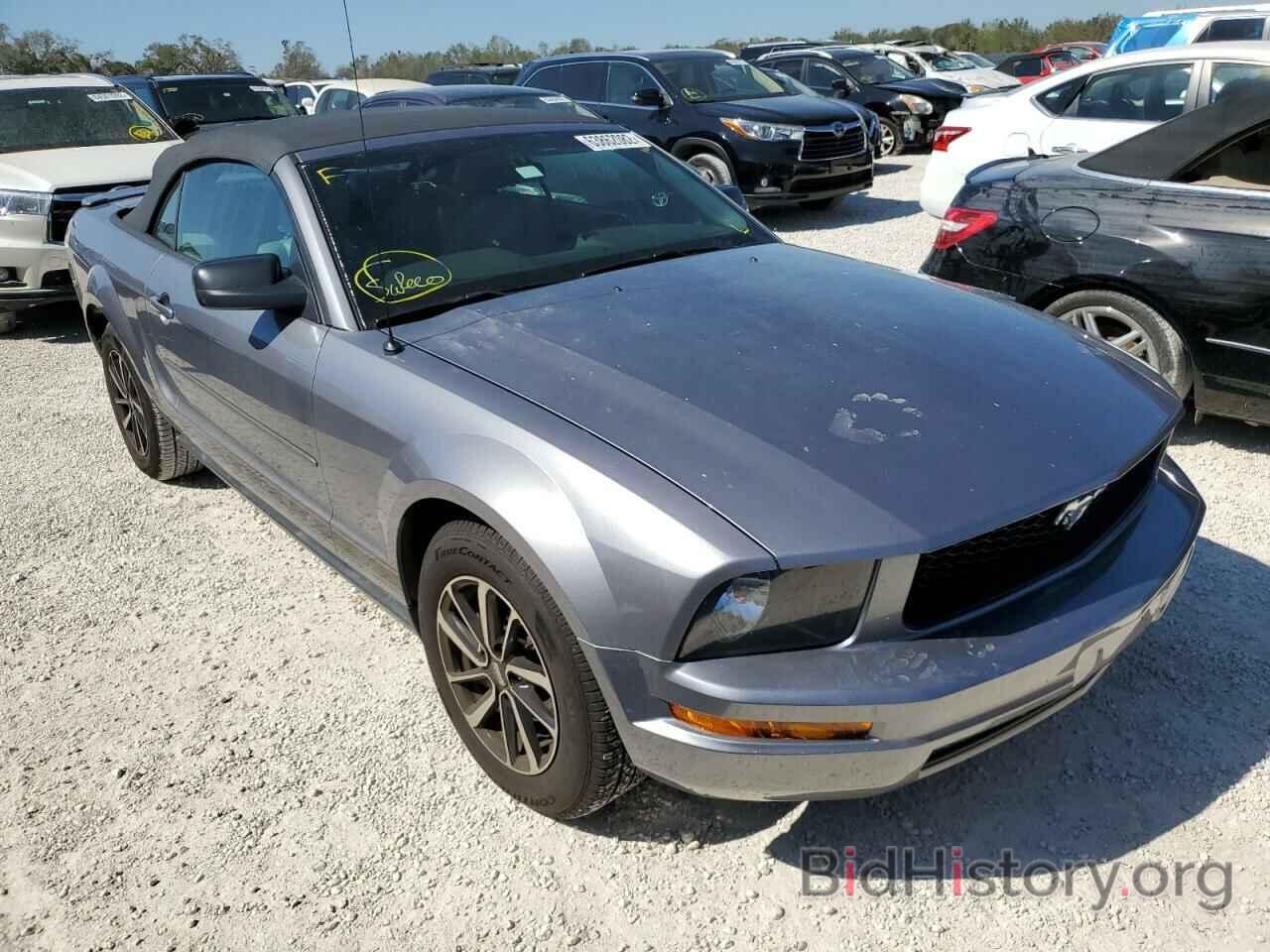 Photo 1ZVFT84N875287359 - FORD MUSTANG 2007