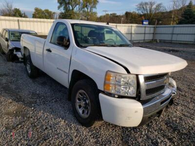 2009 Chevrolet SILVERADO, белый — VIN 1GCEK14C19Z207127, Copart