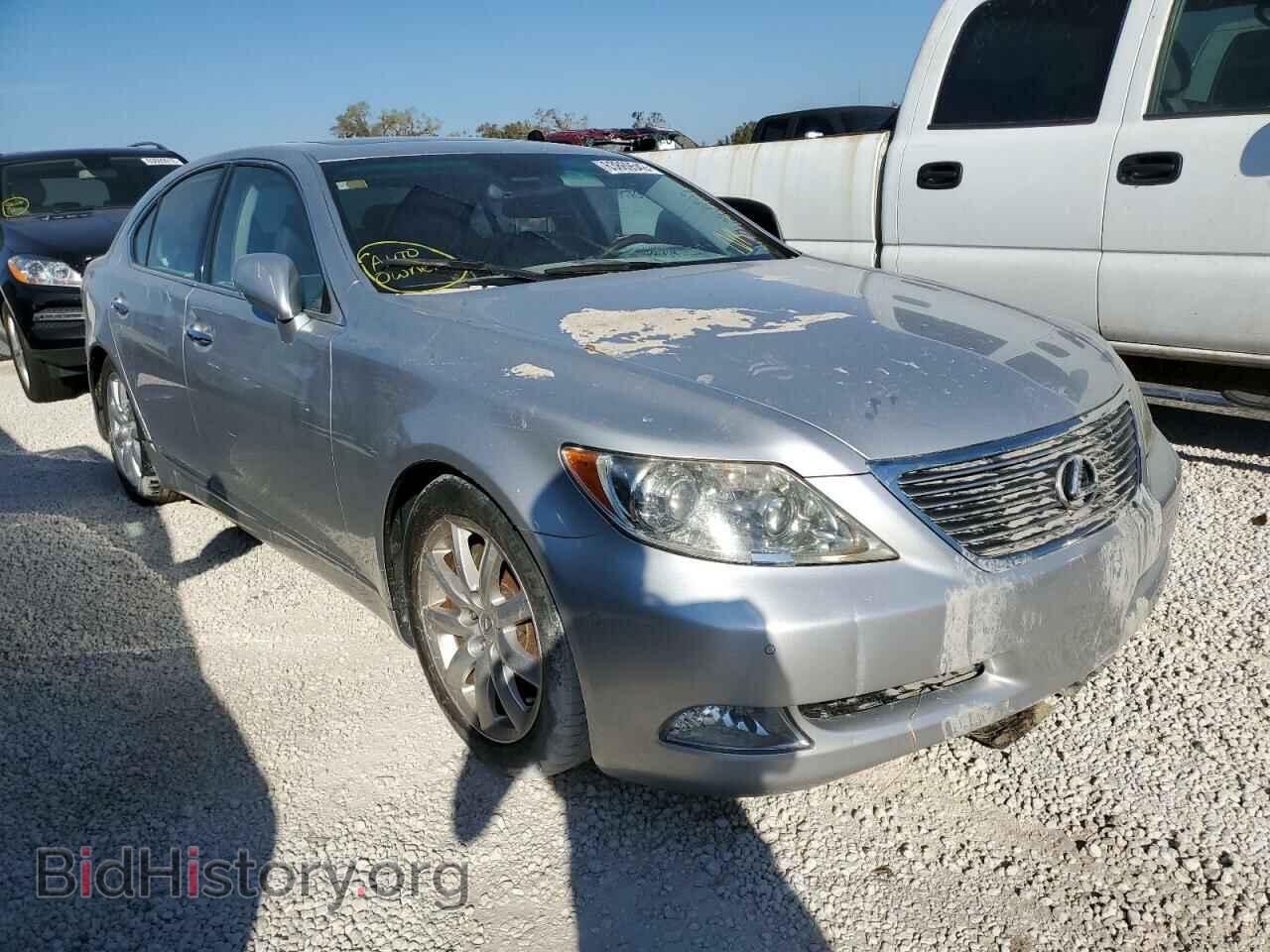 Фотография JTHBL46F995088838 - LEXUS LS460 2009