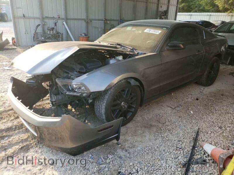 2014 Ford ALL MODELS Mustang (VIN 1ZVBP8AM7E5237287) — photo 1 of 12, Copart, damage: front end