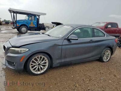 2014 BMW 2 SERIES I, gray — VIN WBA1F5C55EVV99167, Copart
