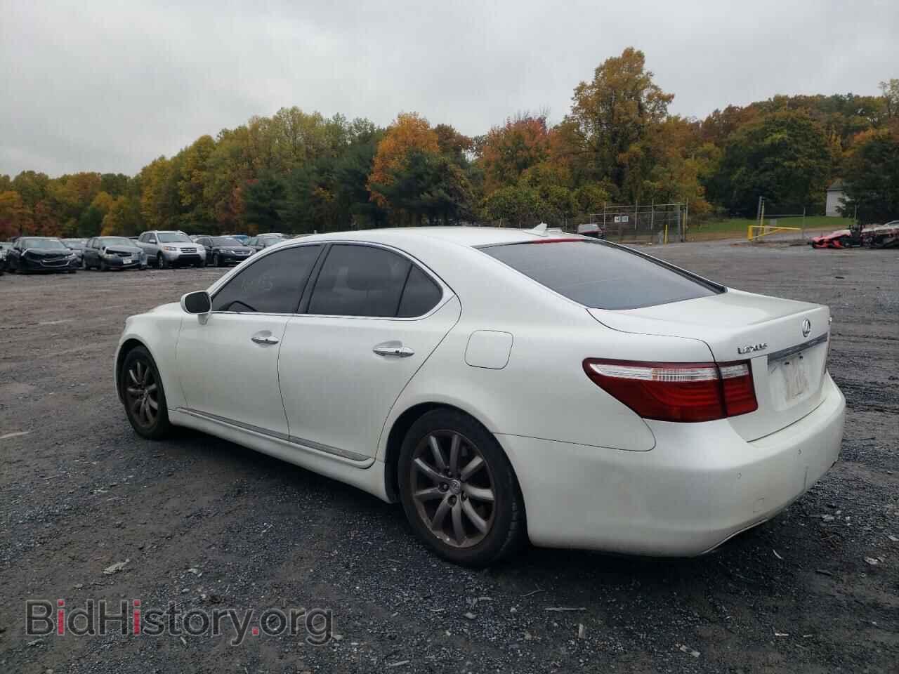 2008 LEXUS LS460 - VIN: JTHBL46F885063914 - Фото 3