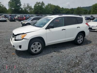 2012 Toyota RAV4, белый — VIN 2T3JF4DV3CW186357, Copart