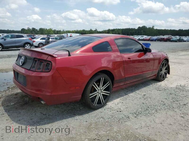 2014 Ford ALL MODELS (VIN 1ZVBP8AM6E5234235) — фото 3 из 12