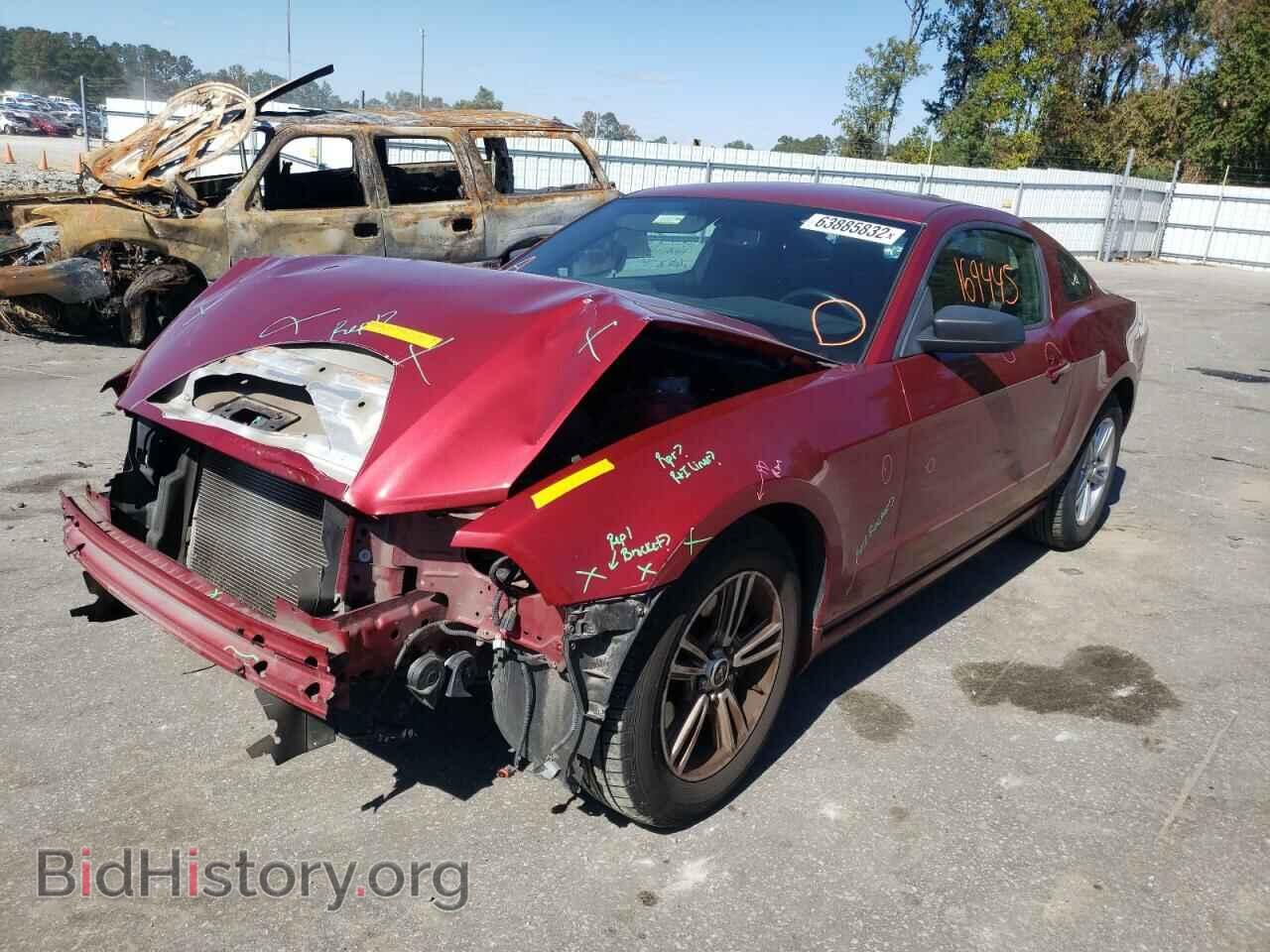 2014 FORD MUSTANG - VIN: 1ZVBP8AM4E5329943 - Фото 2