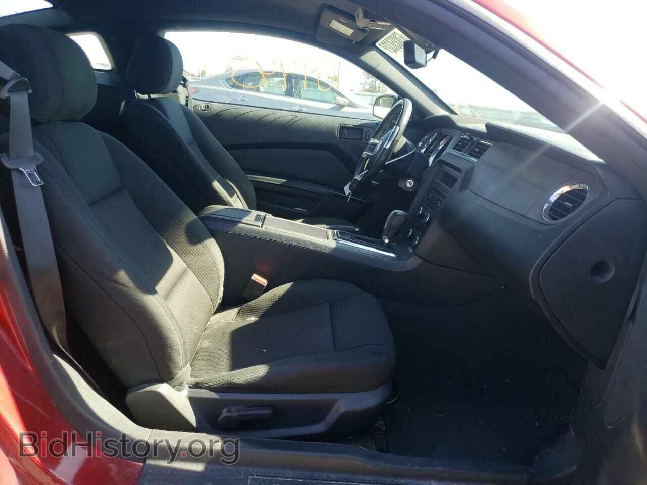 2014 FORD MUSTANG - VIN: 1ZVBP8AM4E5329943 - Фото 5