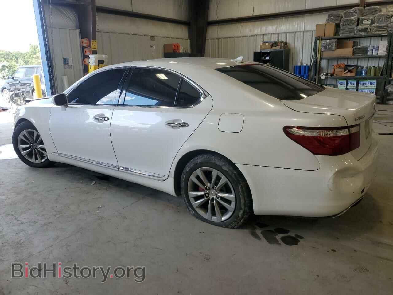2009 LEXUS LS460 - VIN: JTHBL46F895084571 - Photo 2