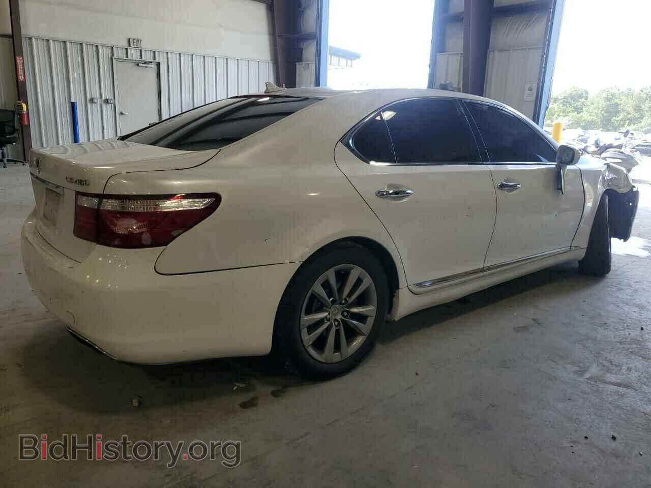2009 LEXUS LS460 - VIN: JTHBL46F895084571 - Photo 3