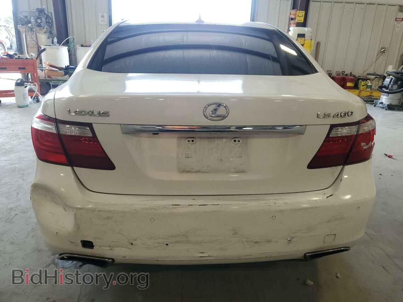 2009 LEXUS LS460 - VIN: JTHBL46F895084571 - Photo 6