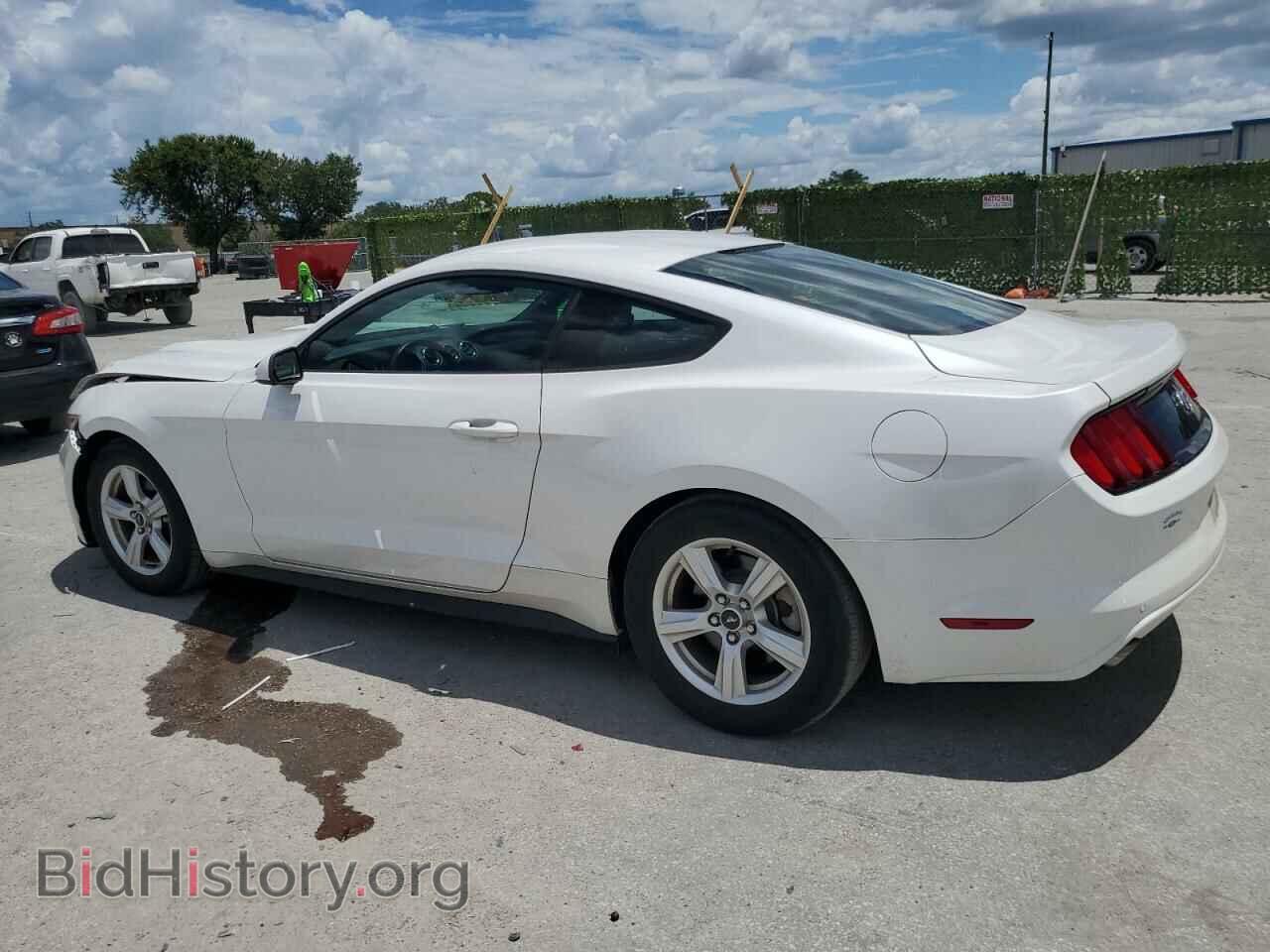 2017 FORD ALL Models - VIN: 1FA6P8AM2H5312203 - Фото 2