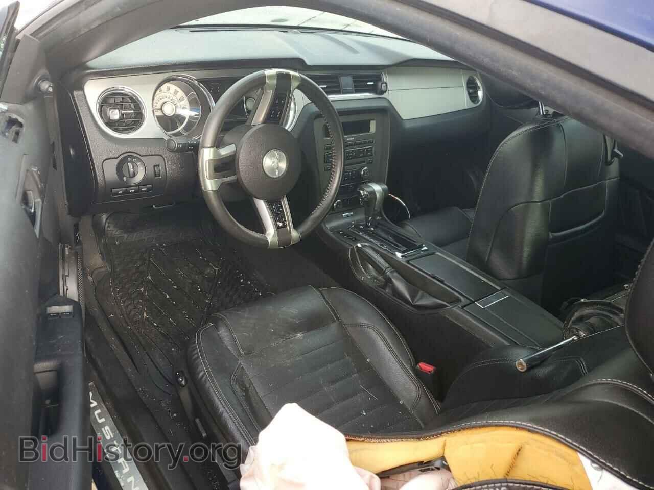 2010 FORD MUSTANG - VIN: 1ZVBP8CH3A5134376 - Фото 8