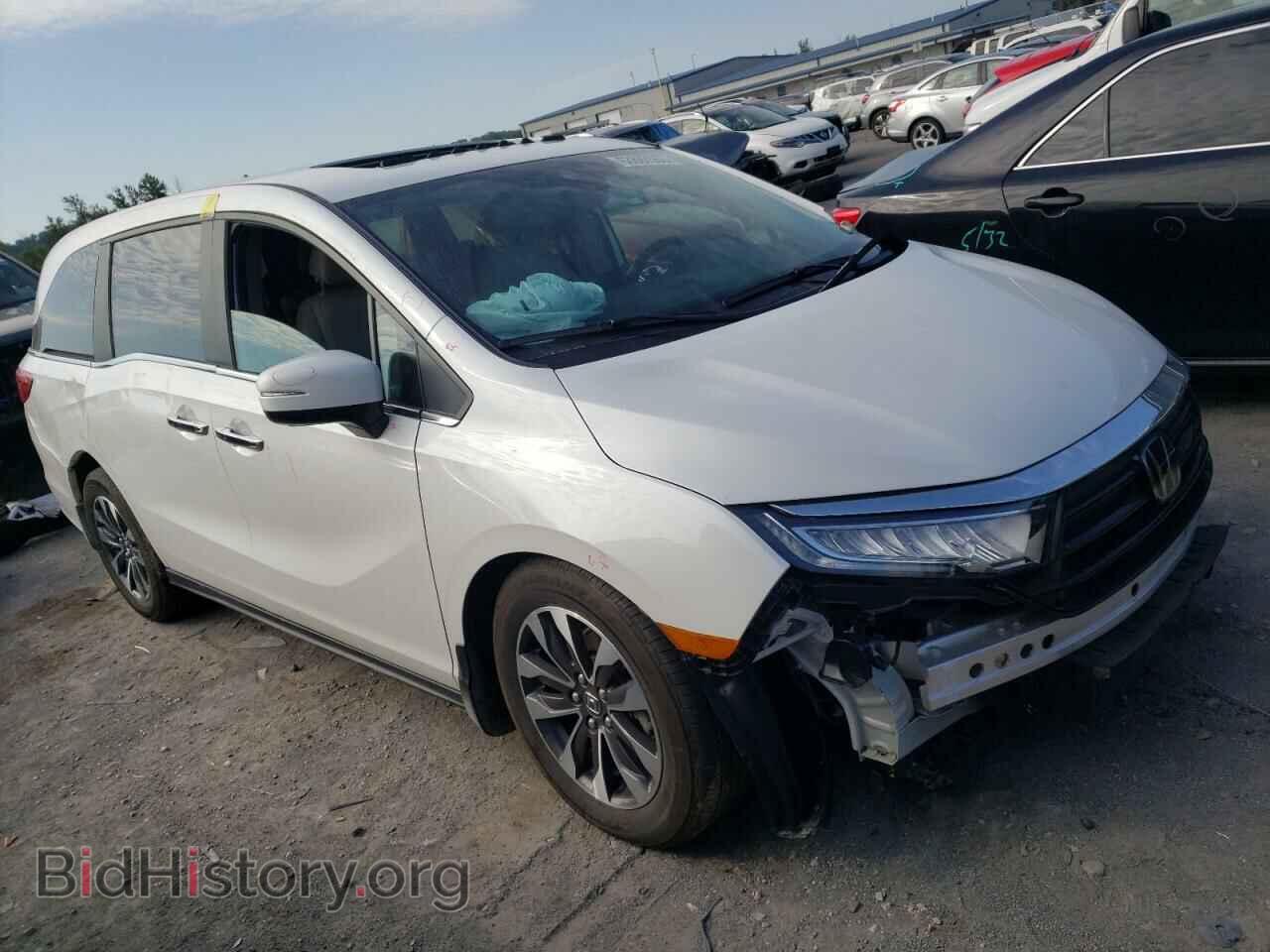 2023 HONDA All Models - VIN: 5FNRL6H69PB004277 - Фото 4