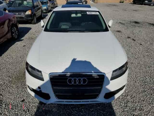 2012 AUDI A4 - VIN: WAUAFAFL5CN000381 - Фото 5