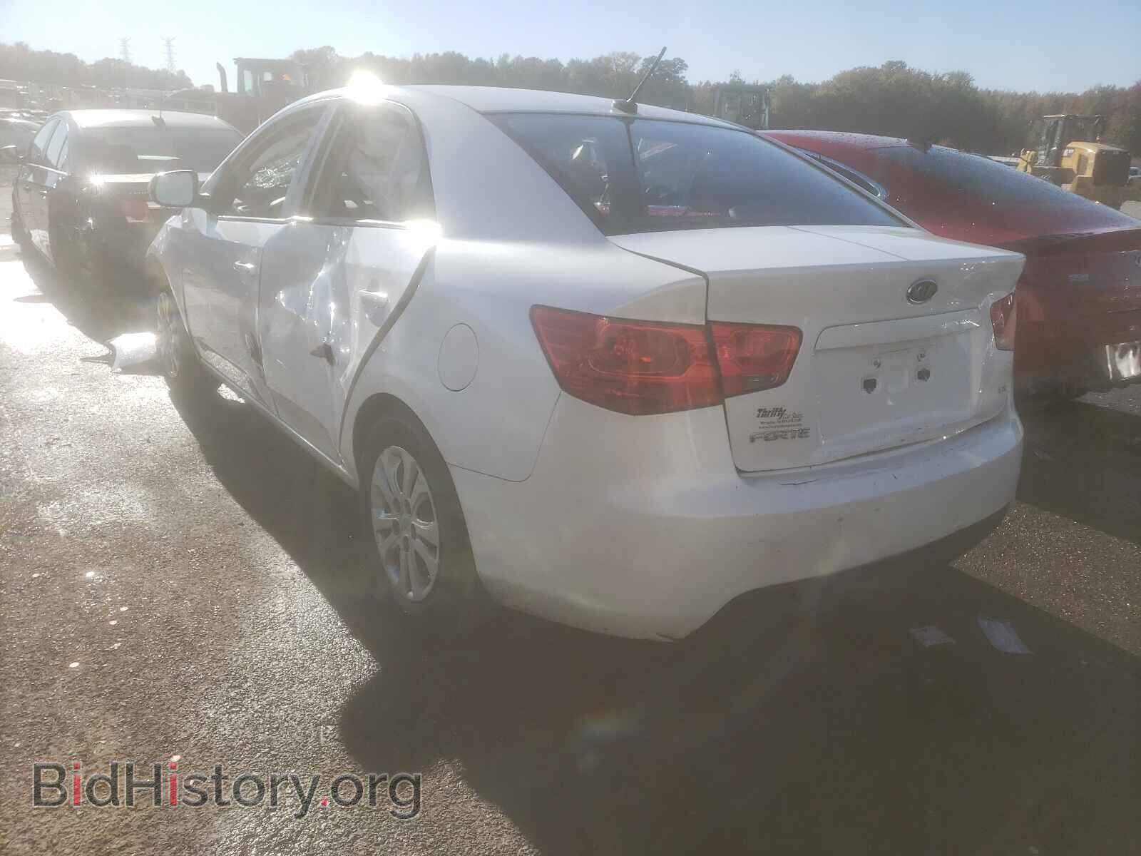 2013 KIA FORTE - VIN: KNAFU4A28D5687367 - Фото 3