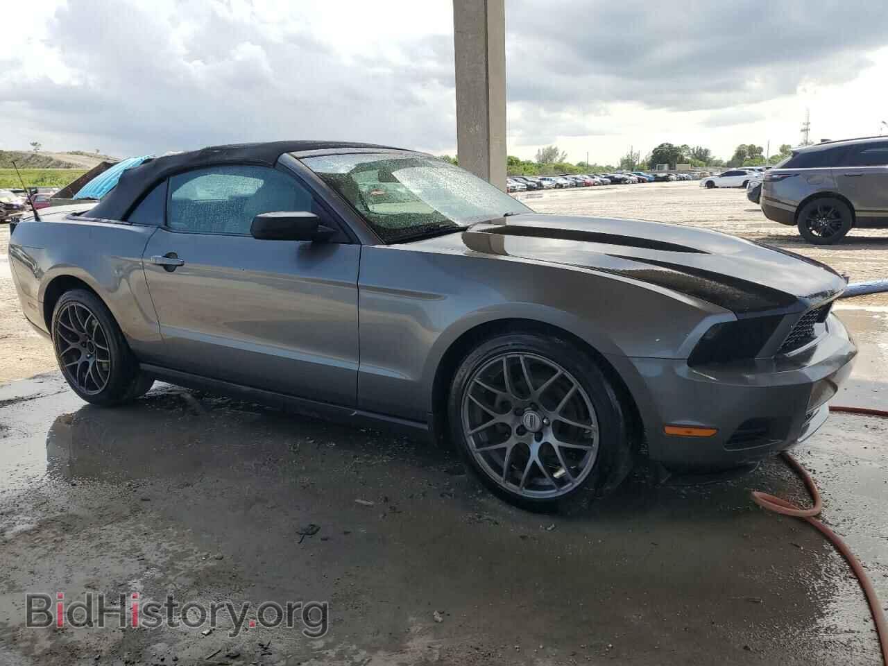 2010 FORD ALL Models - VIN: 1ZVBP8ENXA5178376 - Фото 4