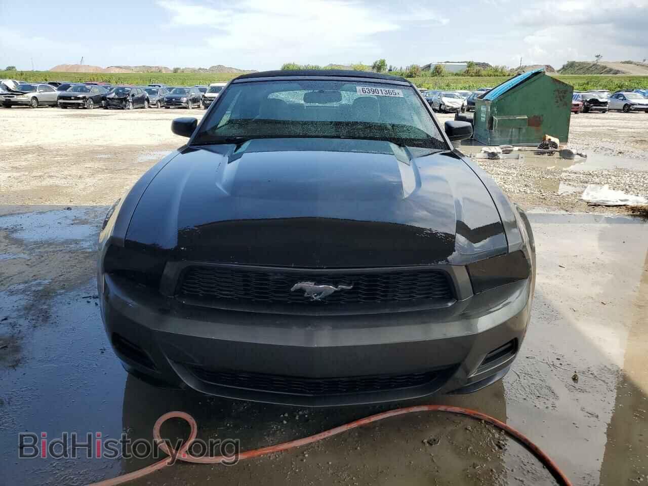 2010 FORD ALL Models - VIN: 1ZVBP8ENXA5178376 - Фото 5