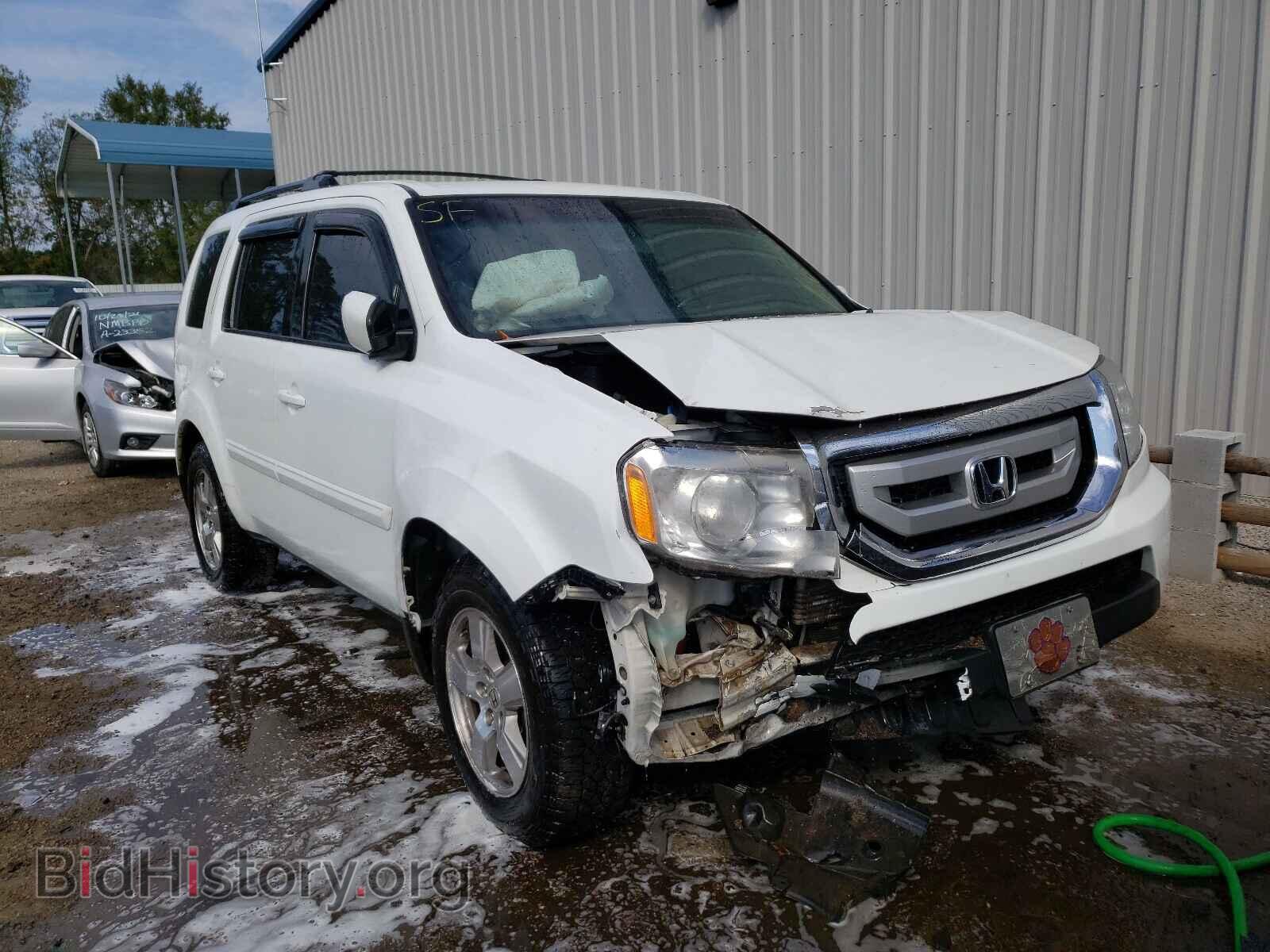 Photo 5FNYF3H61BB008320 - HONDA PILOT 2011