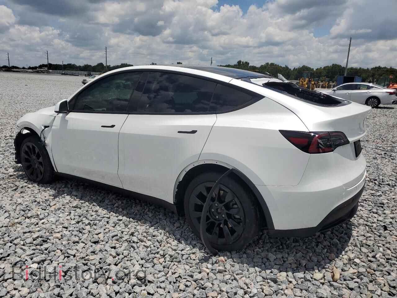 2024 TESLA MODEL Y - VIN: 7SAYGDED3RF008242 - Photo 2