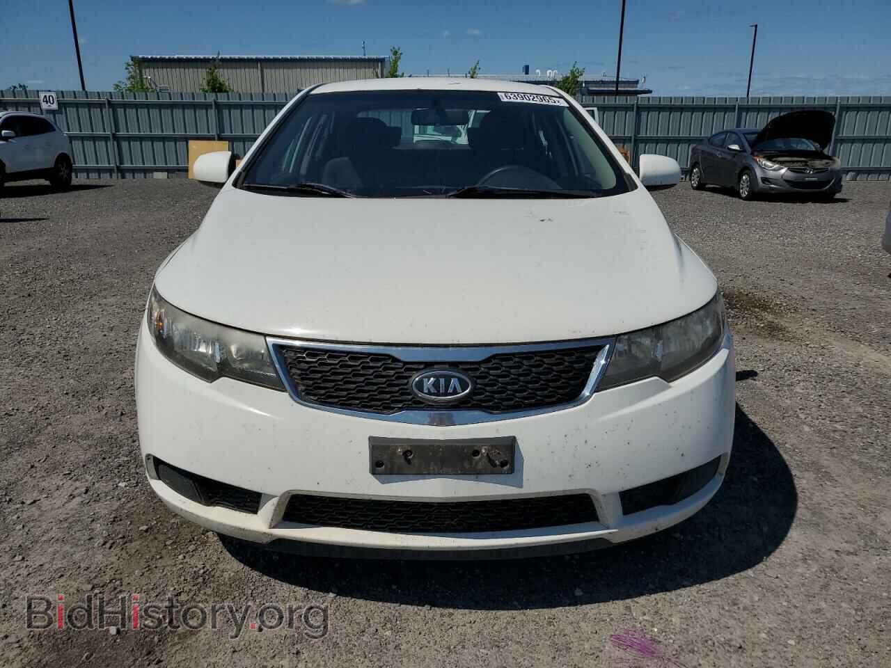 2013 KIA FORTE - VIN: KNAFT4A21D5716906 - Фото 5