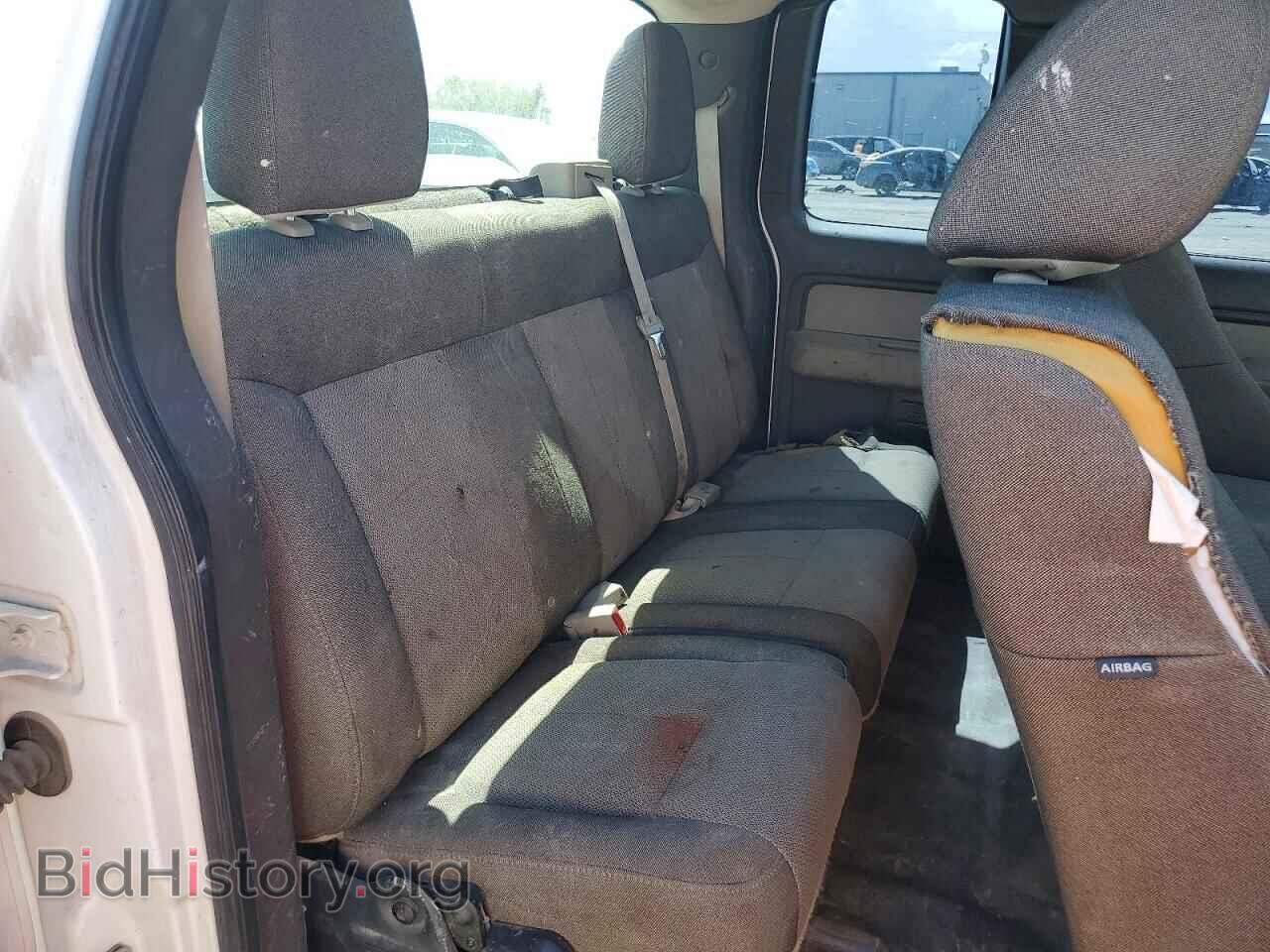 2010 FORD F150 - VIN: 1FTFX1EV4AKE19331 - Фото 10