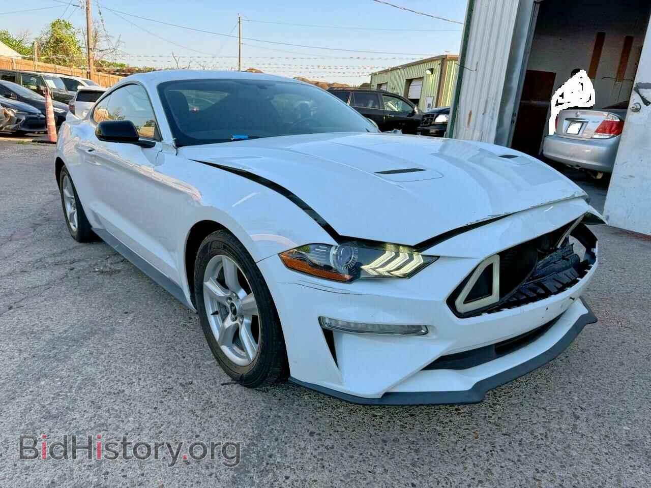 Photo 1FA6P8TH1K5161216 - FORD ALL Models 2019