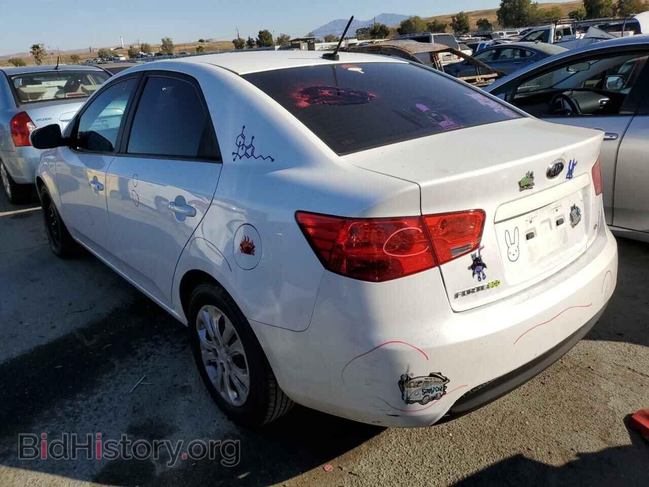 2012 KIA FORTE - VIN: KNAFU4A24C5534158 - Фото 3
