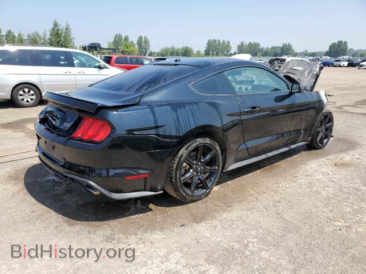 2019 FORD ALL Models - VIN: 1FA6P8TH6K5175998 - Фото 3