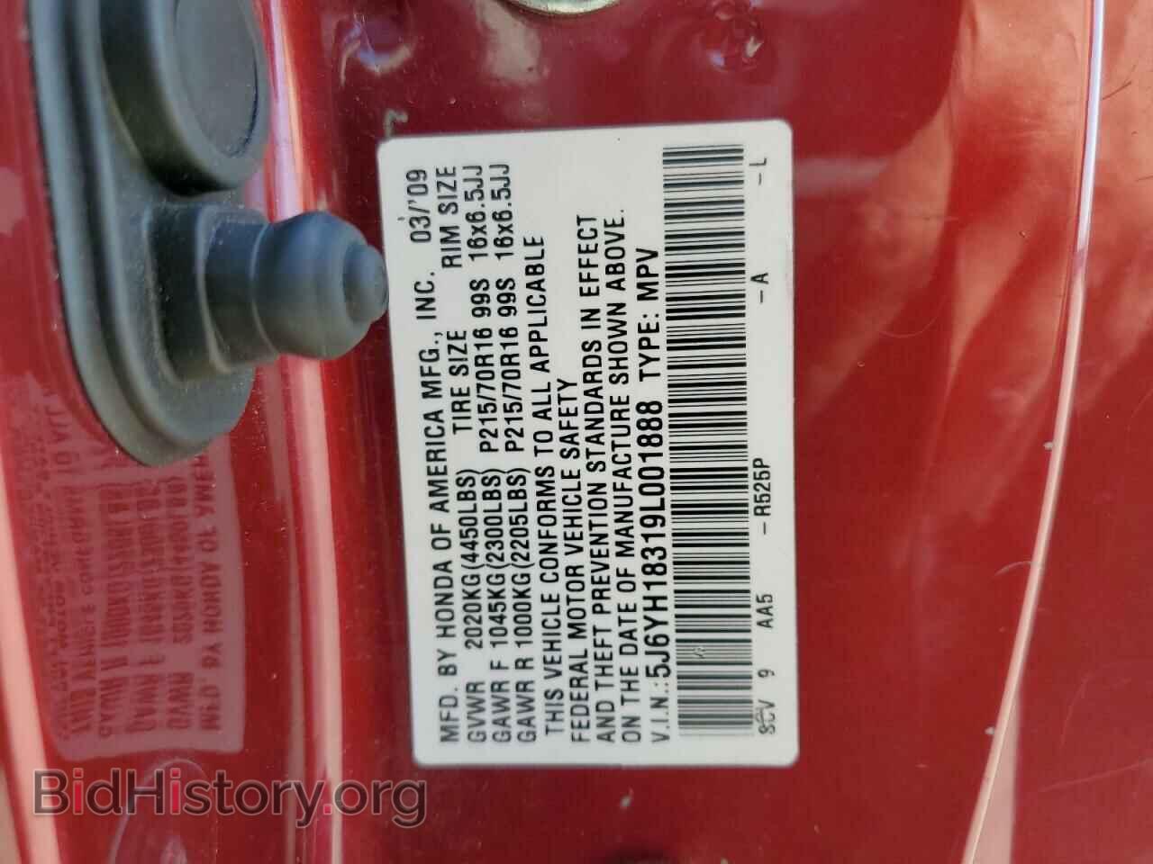 2009 HONDA ELEMENT - VIN: 5J6YH18319L001888 - Фото 10