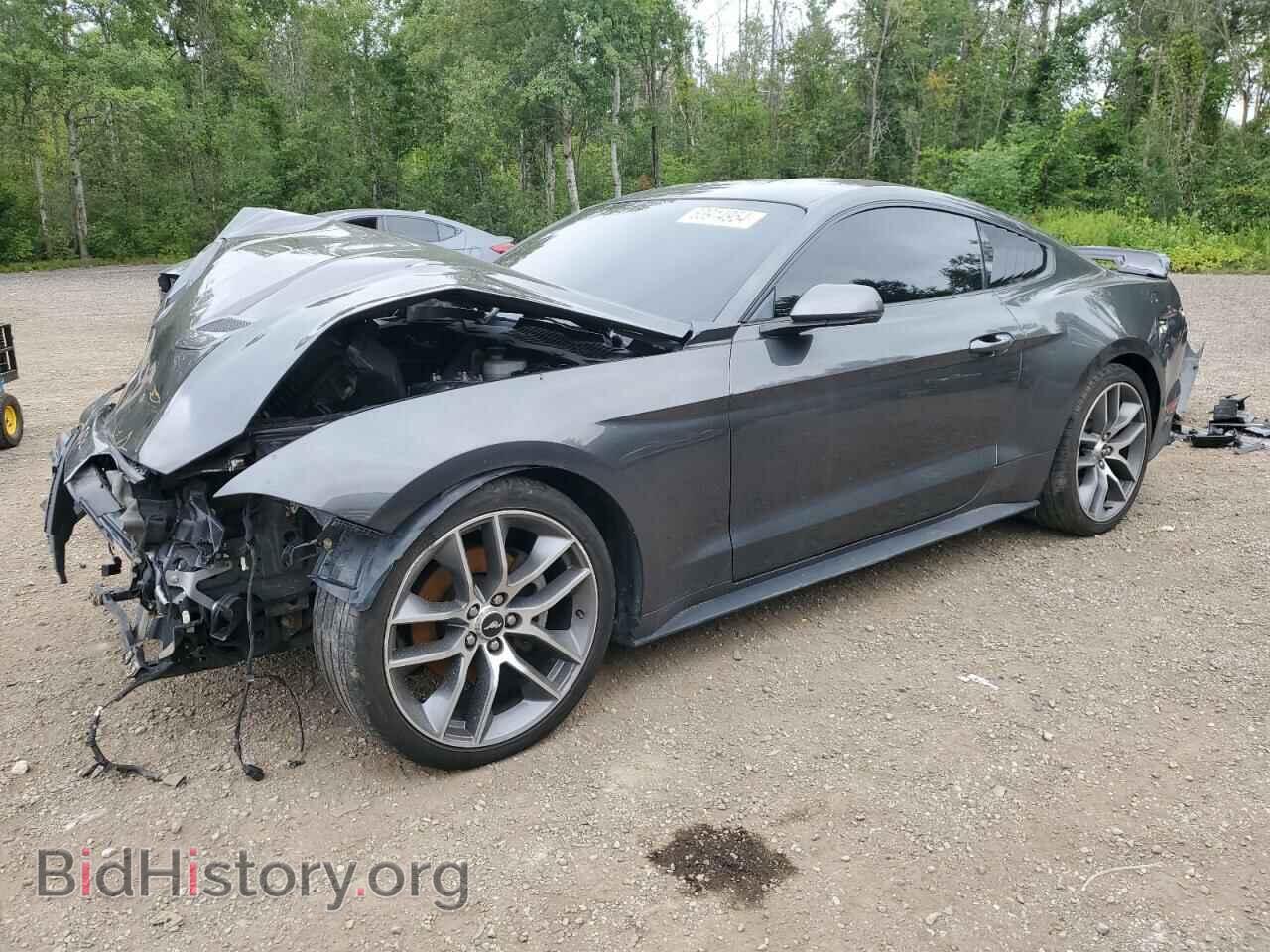 Фотография 1FA6P8TH3K5111028 - FORD ALL Models 2019