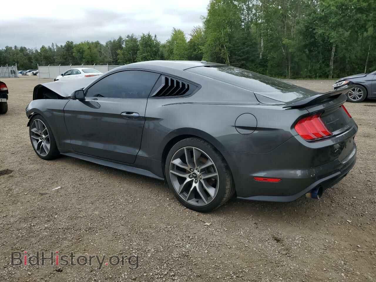 2019 FORD ALL Models - VIN: 1FA6P8TH3K5111028 - Photo 2