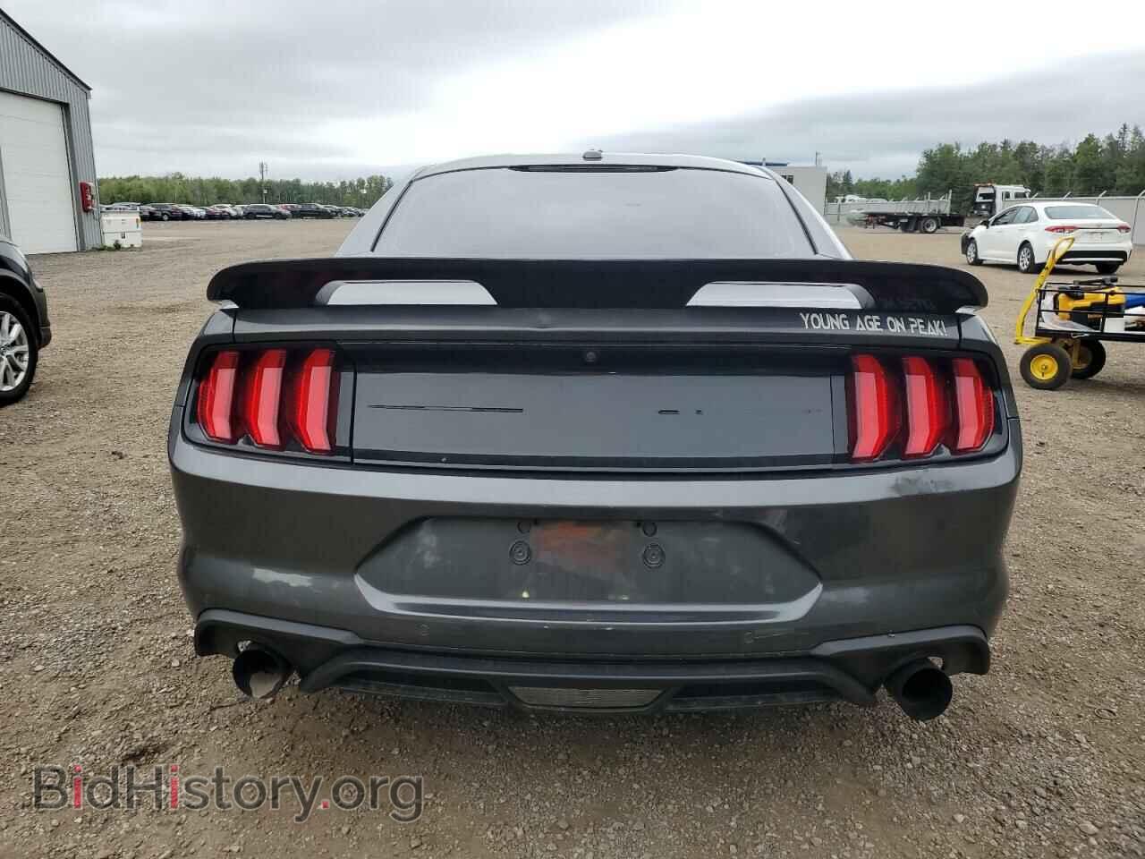 2019 FORD ALL Models - VIN: 1FA6P8TH3K5111028 - Photo 6
