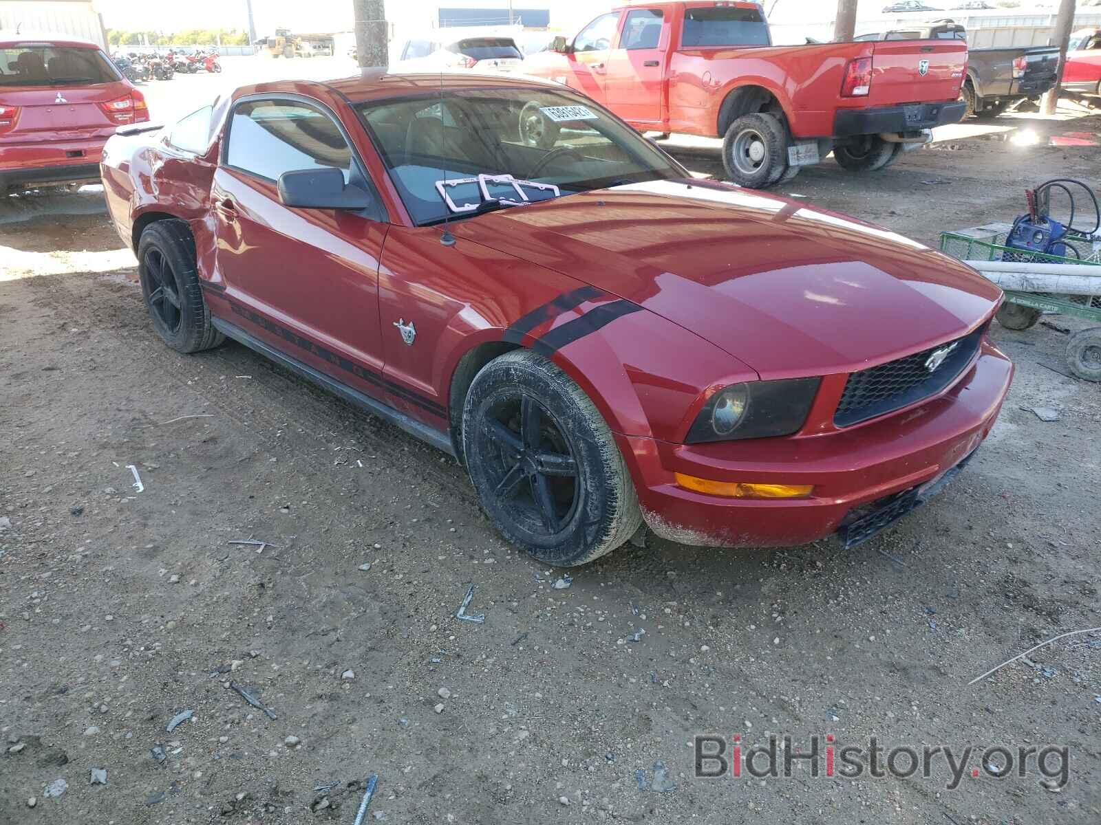 Photo 1ZVHT80N595112357 - FORD MUSTANG 2009