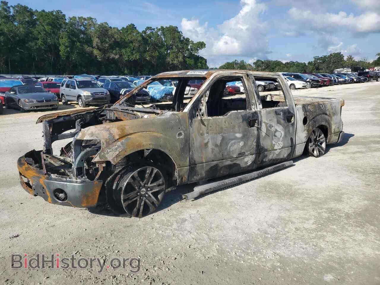 Photo 1FTFW1CF5CFC06236 - FORD F-150 2012