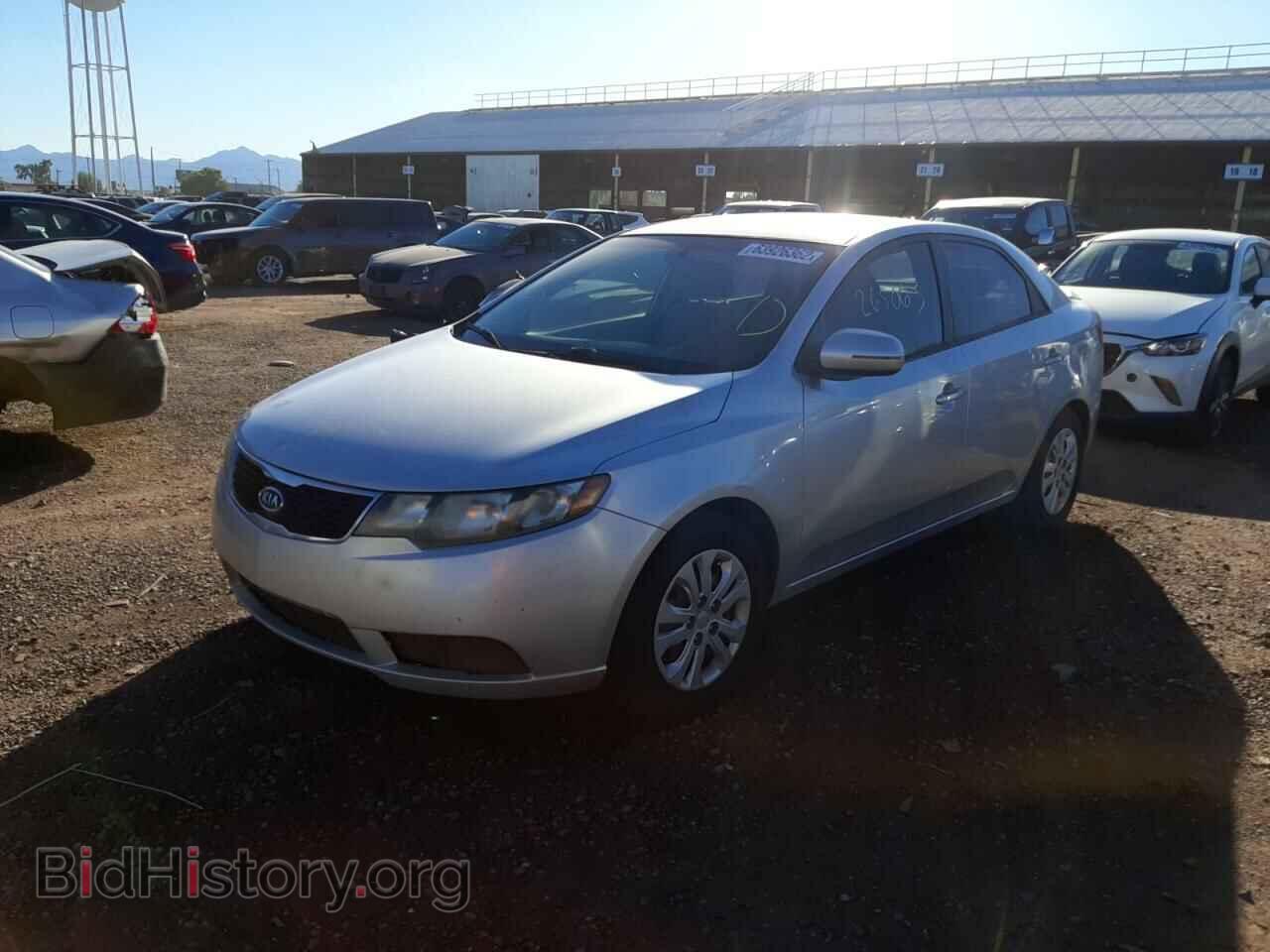 2011 KIA FORTE - VIN: KNAFU4A20B5426070 - Фото 2