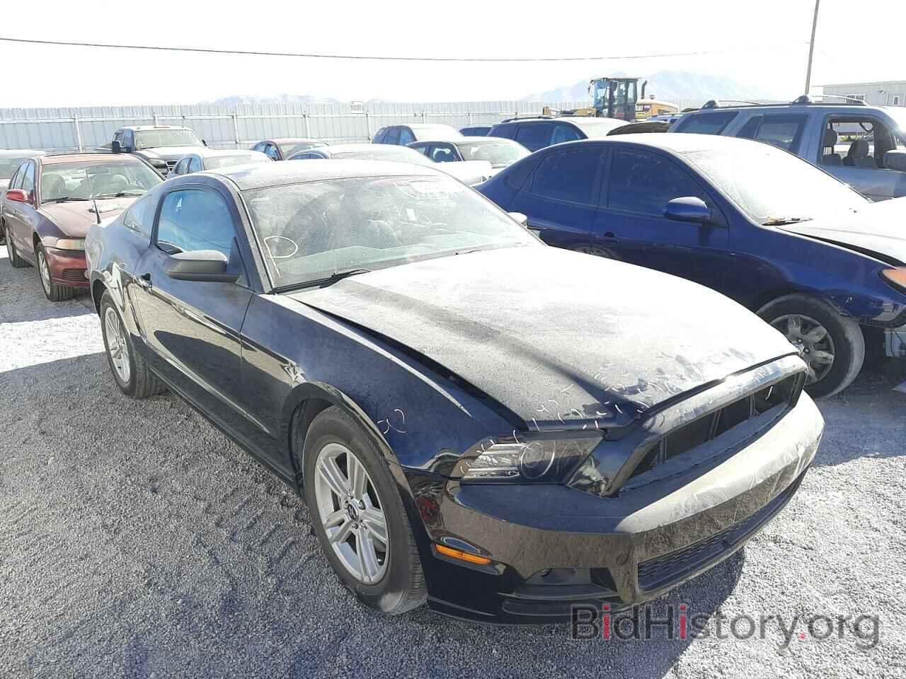 Photo 1ZVBP8AM0E5333293 - FORD MUSTANG 2014