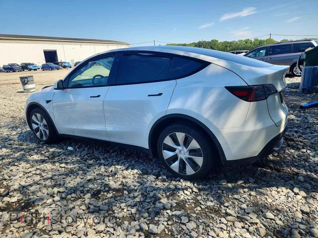 2023 TESLA MODEL Y - VIN: 7SAYGDEE9PF683342 - Фото 2