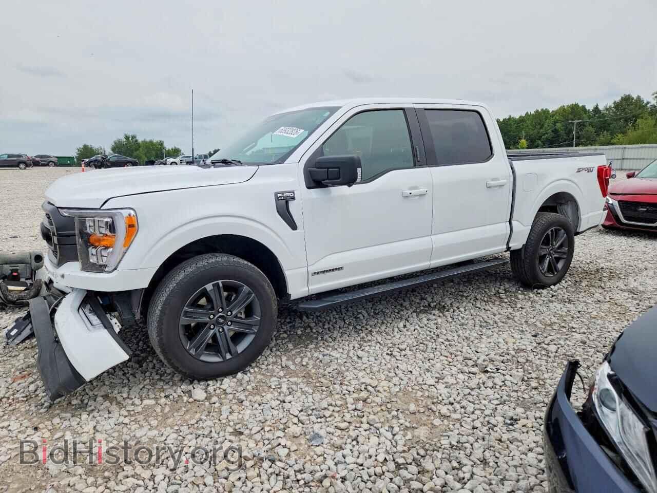 Фотография 1FTFW1ED0PFD09341 - FORD F150 2023