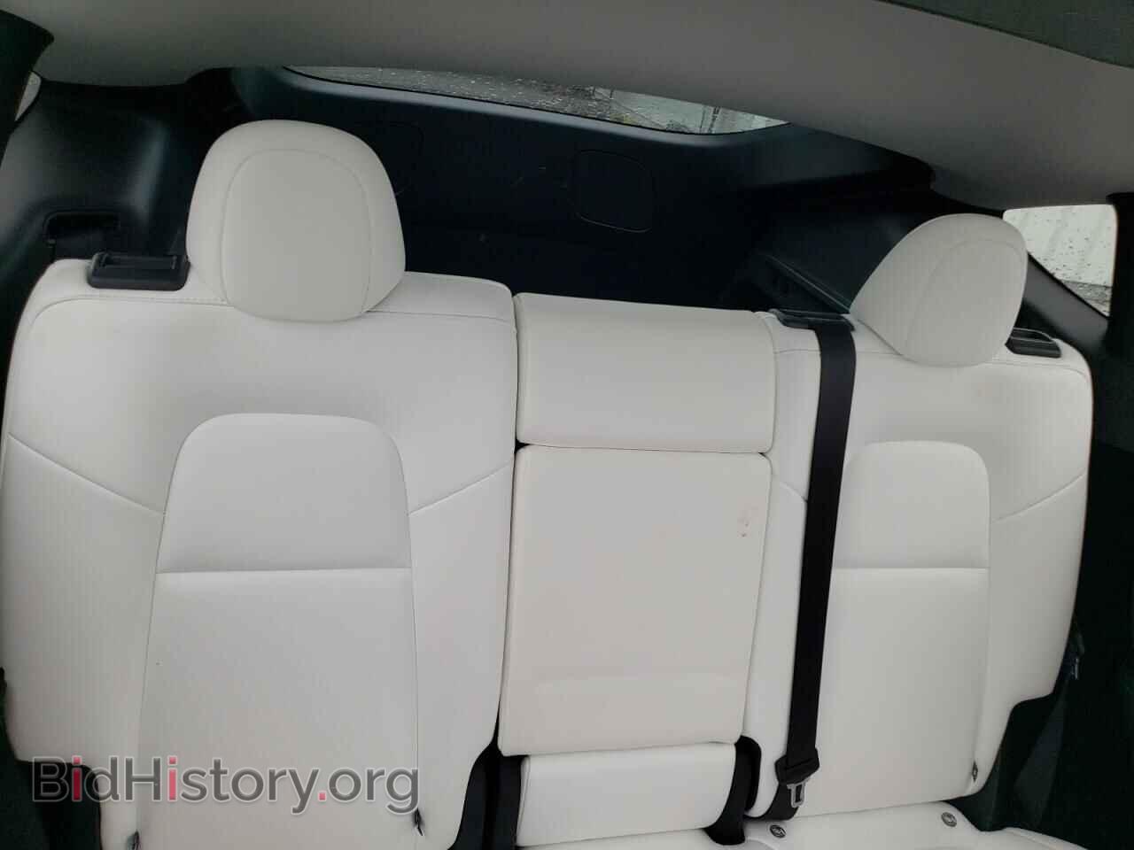 2024 TESLA MODEL Y - VIN: 7SAYGDED9RA323446 - Фото 10