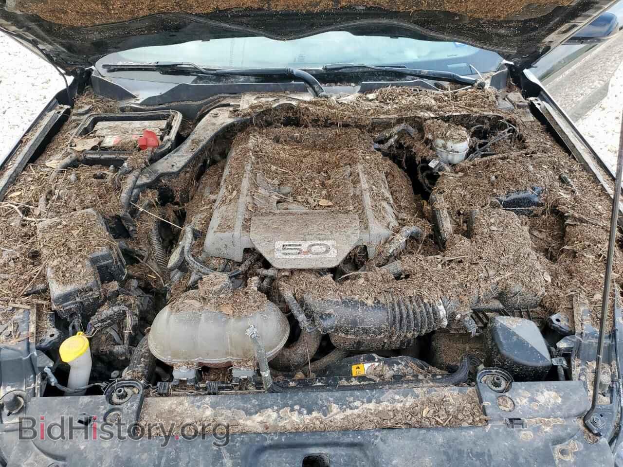 2017 FORD MUSTANG - VIN: 1FA6P8CF8H5344314 - Фото 11