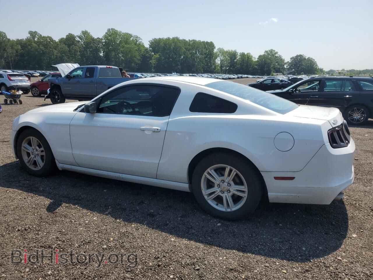 2014 FORD ALL Models - VIN: 1ZVBP8AM1E5235485 - Фото 2