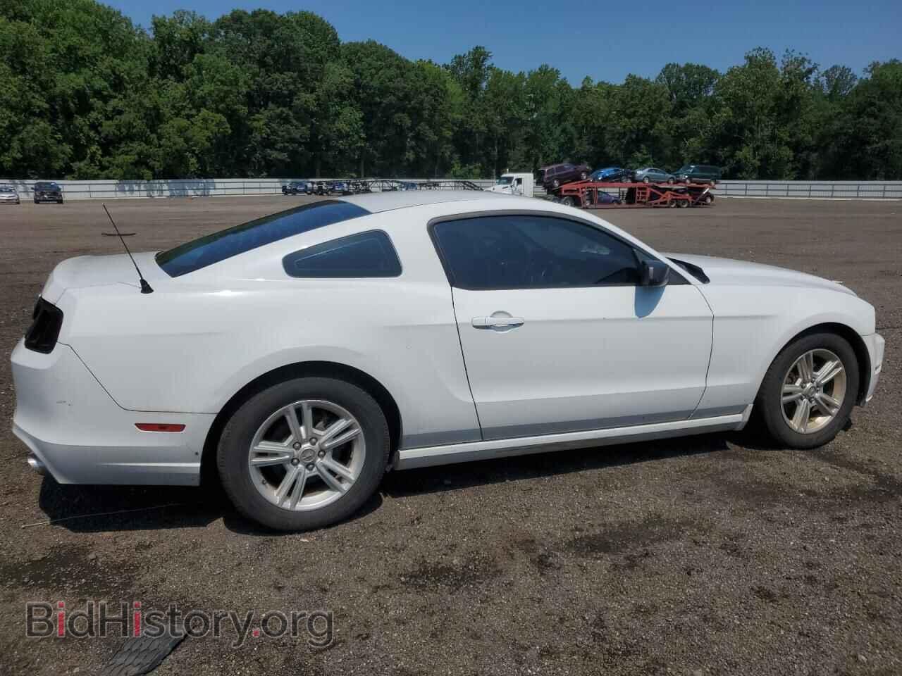 2014 FORD ALL Models - VIN: 1ZVBP8AM1E5235485 - Фото 3