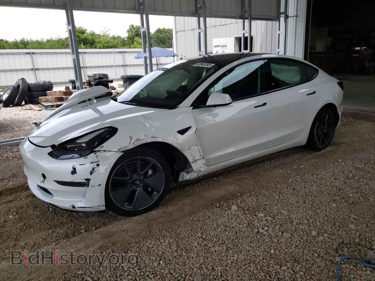 Фотография 5YJ3E1EA5PF504206 - TESLA MODEL 3 2023