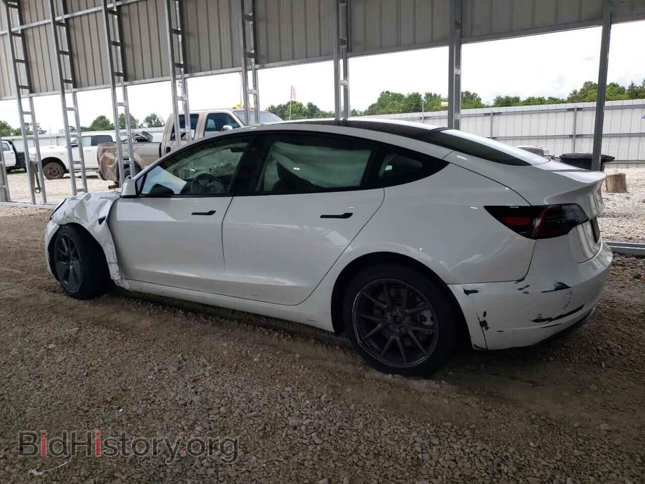 2023 TESLA MODEL 3 - VIN: 5YJ3E1EA5PF504206 - Фото 2
