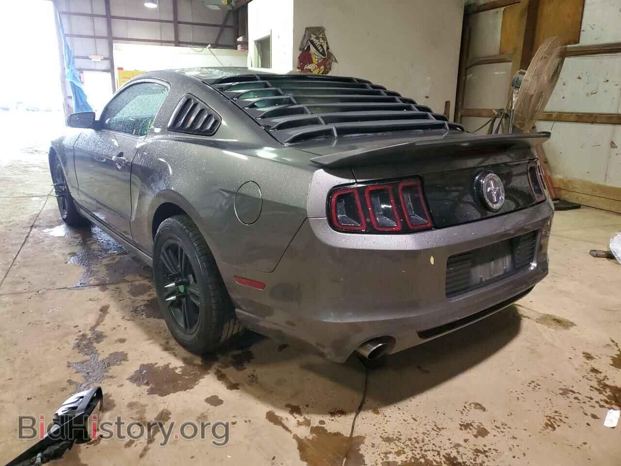 2014 FORD MUSTANG - VIN: 1ZVBP8AM8E5315656 - Фото 3